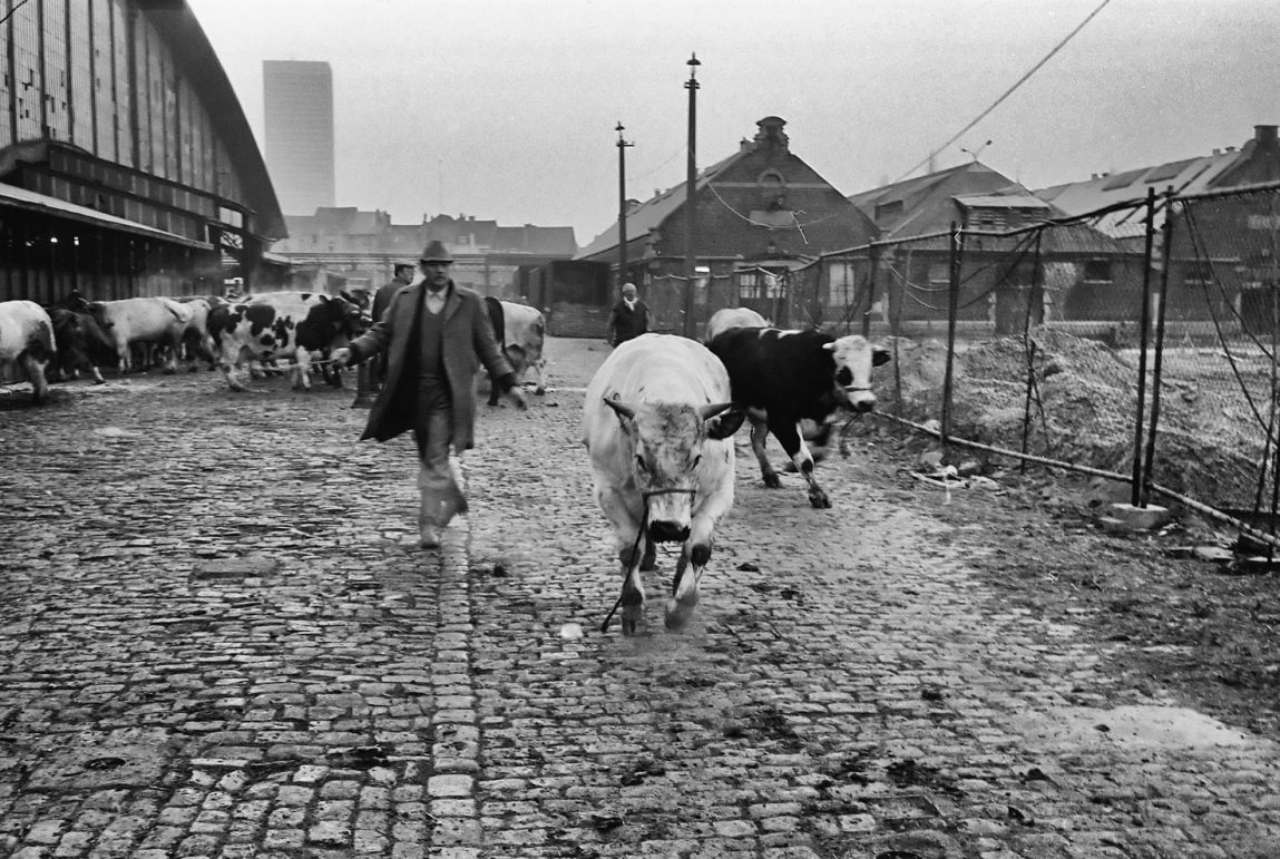 abattoirs d'Anderlecht