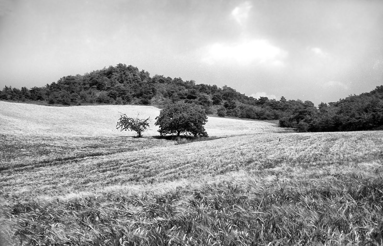 Drôme 1987