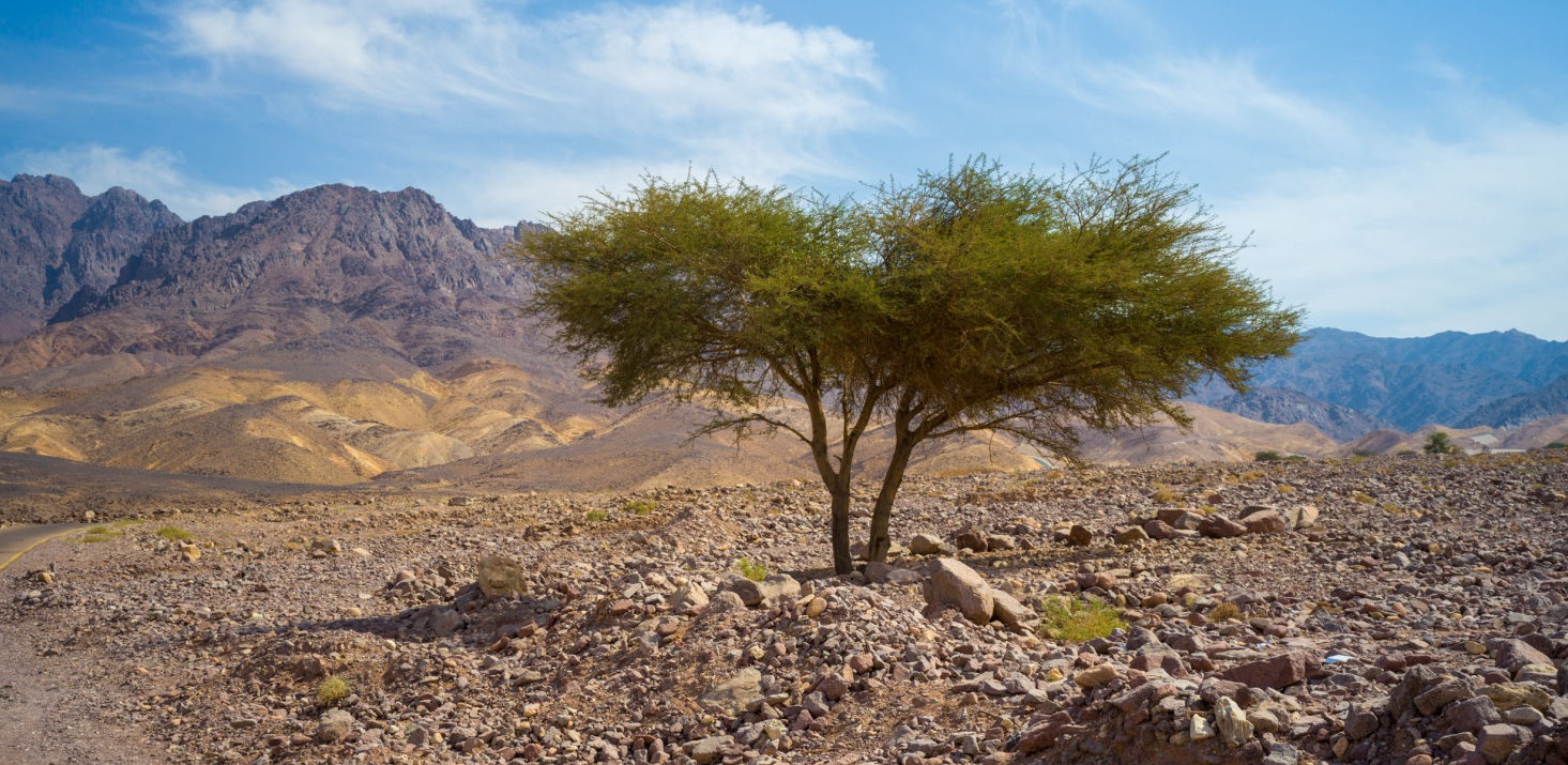 Jordanie, octobre 2022