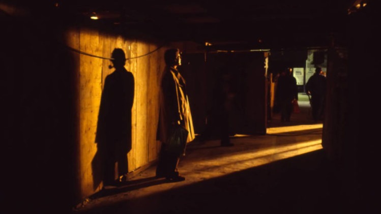 Archives 1982 2020