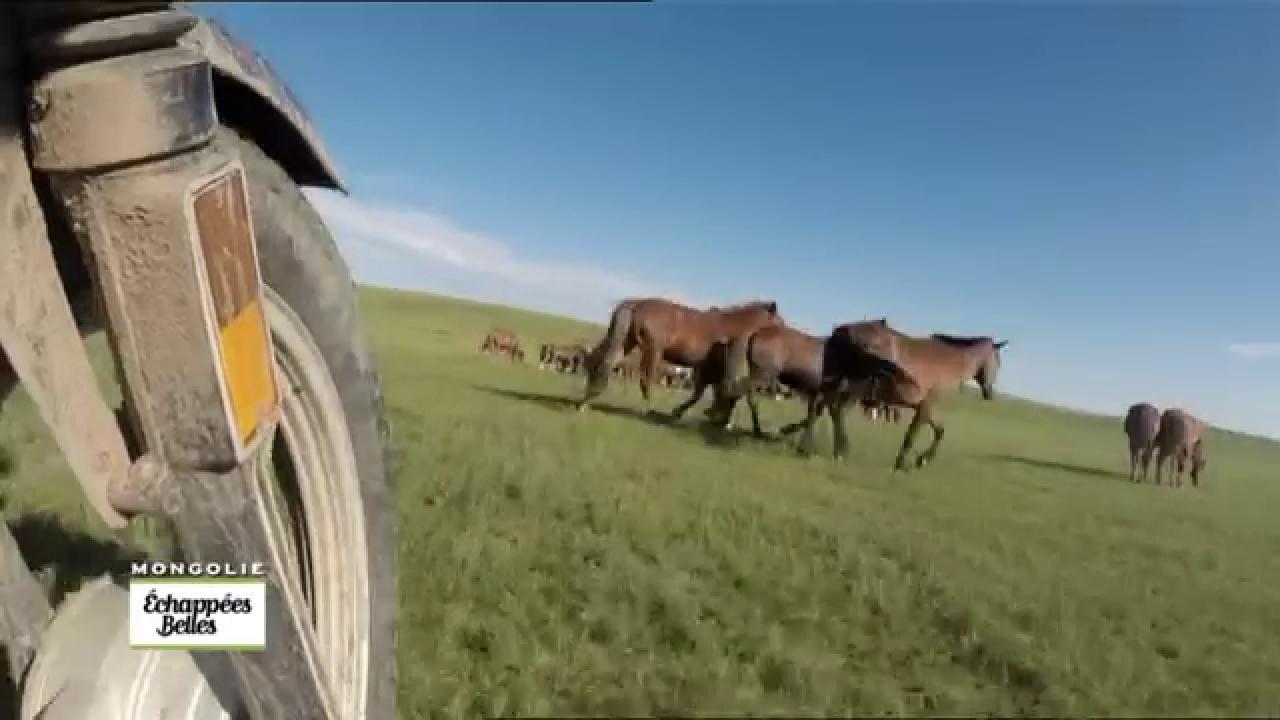 Mongolie, un rêve de liberté - Echappées belles
