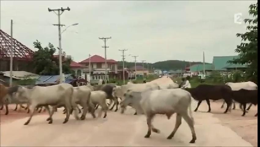 Aung San Suu Kyi - Un Reve Birman