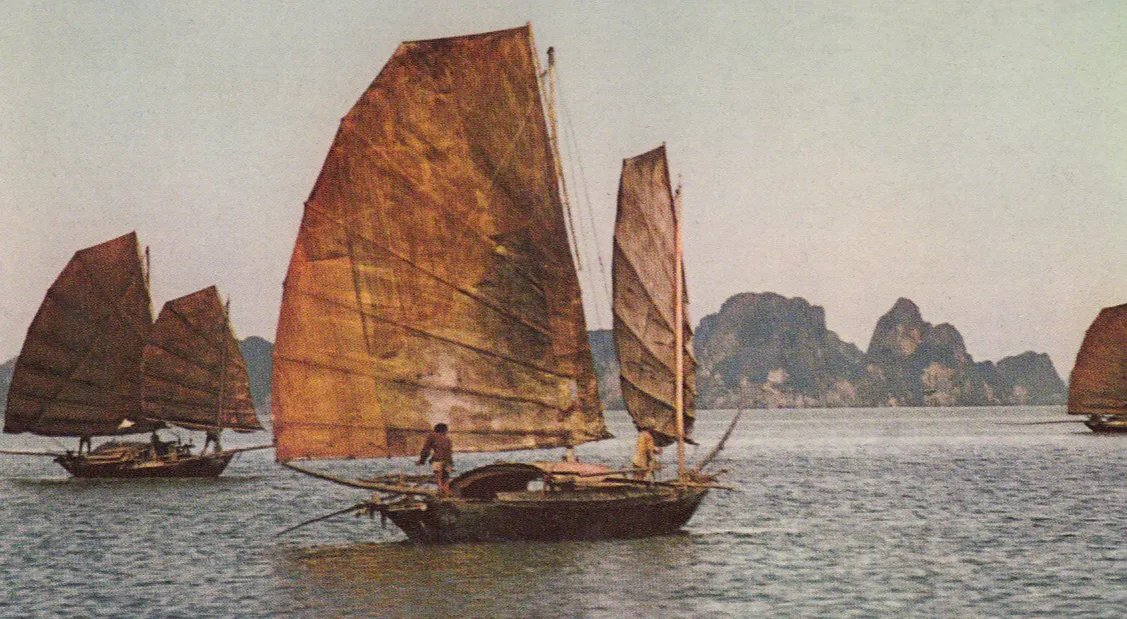 Reportages & documents